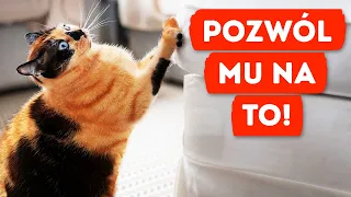 Jak działają kocie pazury?