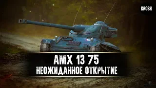 AMX 13 75  -  Неожиданное открытие  -  Гайд