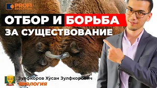 Отбор и борьба за существование