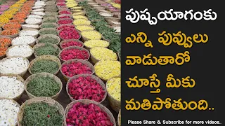 Flowers Used Tirumala PushpaYagam Will Blow Your Mind