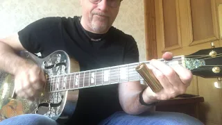 "Get Back"  The Beatles performed by Dobro Dave on slide guitar