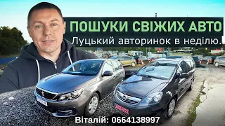 Луцький авторинок. #автопідбір #підбіравто 28 вересня 2022 р.