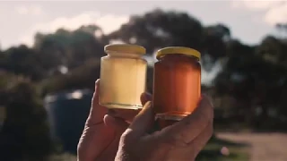 Capilano Beekeeper Explains Honey Varieties