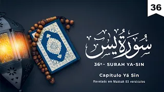 Surah Ya Sin | Surah Ya Sin | سُورَةُ يس‎ | Recitação do Alcorão em Português
