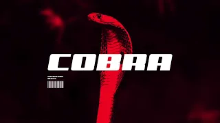 [FREE] "COBRA" - Tech House Type Beat | Banger Club EDM Instrumental 2022 | Prod. PapaPedro Beats