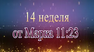 Евангелие от Марка 11:23 - читает Ольга Голикова