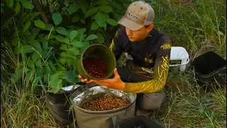 Лучшая прикормка на любом водоеме для карпа и амура