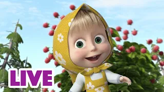 🔴 LIVE! Masha e Orso 👱‍♀️🐻 Felicità estiva 🐸💖 Cartoni animati per bambini