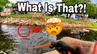 You Won’t Believe What I Found Magnet Fishing Behind This Apartment Building!