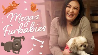 MEGA  Furbabies | The Sharon Cuneta Show