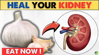 EAT NOW! 5 Powerful Foods To Enhance Kidney Health| Health Journey