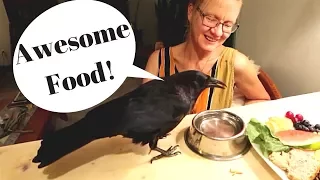 PET CROWS AWESOME FEEDING VIDEO