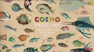 Cosmo Sheldrake - Birthday Suit - 1 Hour