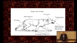 Stanley Coren - Animal Communication: How to Speak Dog