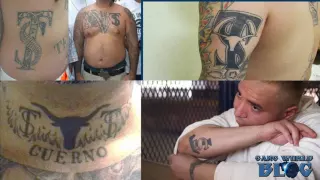 Texas Syndicate Prison Gang History (Folsom)