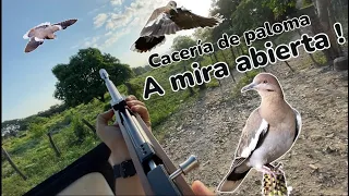 Cacería de paloma a mira abierta con pcp AZTK V-Raptor pr900