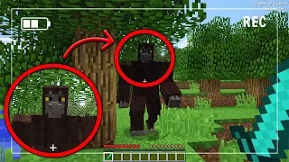 We Found SCP 1000 in Minecraft and CAPTURED HIM! (BIGFOOT)