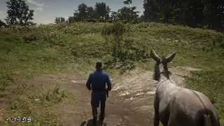 Only players with 200% focus will see this secret - RDR2