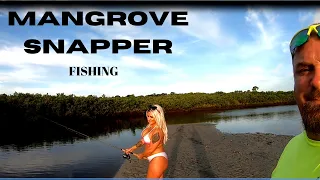 SHE OUT FISHED ME AGAIN...MANGROVE SNAPPER FISHING with LIVE SHRIMP
