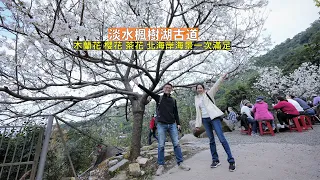 淡水楓樹湖古道沿途木蘭花、櫻花相伴搭配北海岸海景，沒有任何難度的步道男女老少最佳踏青景點