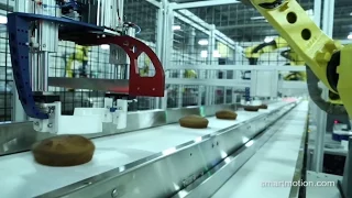 Robotic Cake Cutting & Tray Packing System - Smart Motion Robotics