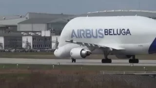 Airbus A300-600ST Beluga 1 Takeoff at Airbus Plant Finkenwerder