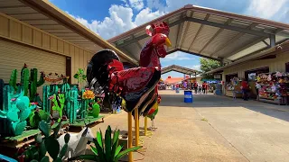 Traders Village Houston,Texas - La pulga del 290