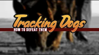 Defeat Tracking Dog Teams
