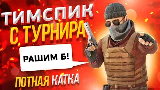 Тимспик моей команды против Absolute