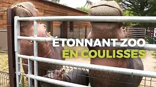 Zoo de PAL : Dans les Coulisses du Zoo le plus étonnant de France