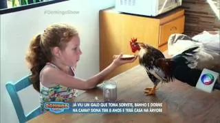 Menina com galo de estimação ganha surpresa do Domingo Show