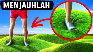 Rumput Melenting dan Hal-hal Keren Lainnya yang Harus Dijauhi