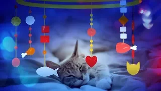 CAT MUSIC - 🐱💤 LULLABY FOR CAT OR KITTEN (SOOTHING MUSIC) 1 HOUR 4K