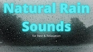 Natural Rain Sounds For Study, Meditation, Rest, and Relaxation. Moment of Peace