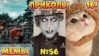 16 МИНУТ СМЕХА ДО СЛЁЗ | ЛУЧШИЕ ПРИКОЛЫ | ВЗРОСЛЫЙ ЮМОР l TikTok УГАР l #56