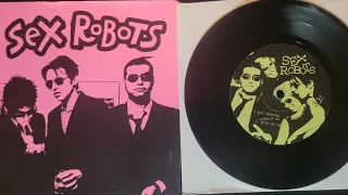 Sex Robots / The Mega Hurts - Roadhouse Tunes records