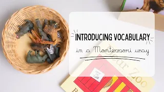 Montessori for EFL Teachers - Vocabulary Presentation