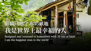 【EngSub】He resigned and returned to Guangxi to live on 35 mu of land 他辭職回廣西，守著35畝地過日子：低頭種地，抬頭唱歌
