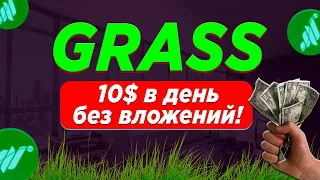 GRASS AIRDROP - ЗАРАБОТОК 4$-6$ БЕЗ ВЛОЖЕНИЙ С АККАУНТА В ДЕНЬ ФАРМЯ ТОКЕНЫ