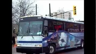 Niagara Falls Transit and other buses