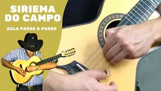 Siriema no Campo (parte 1) - PASSO A PASSO DO COMEÇO AO FINAL