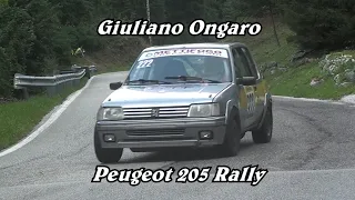 HILLCLIMB SALITA ALPE DEL NEVEGAL 2021 / GIULIANO ONGARO / PEUGEOT 205 RALLY