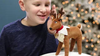 Christmas Magic with Elf Pets