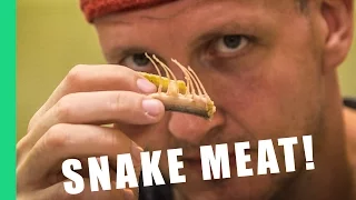 9 Reasons to eat snake in Taiwan