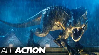 Blue Defeats the Indoraptor | Jurassic World: Fallen Kingdom | All Action