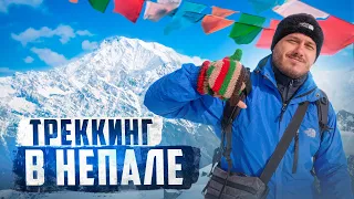 ТРЕККИНГ В НЕПАЛЕ 🇳🇵 Марди Химал