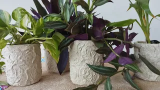 Mira cómo hice Macetas Recicladas Creativas!♻️🪴🖌️Con botellas plásticas, rápido y lindas!