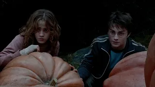 Гарри и Гермиона спасают клювокрыла в прошлом / Гарри Поттер и узник Азкабана