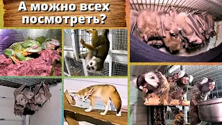 А можно всех посмотреть?