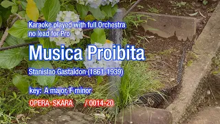 Musica Proibita Karaoke Pavarotti Style played with full Orchestra and no lead instrument for Pro